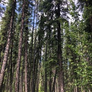 Meet your Posher, Hailey